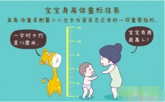 超声波深夜短视频正确测量方法标准身高体
